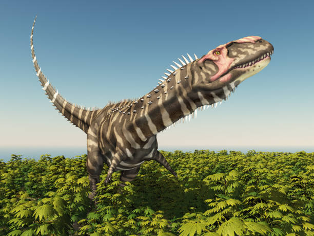 Rajasaurus